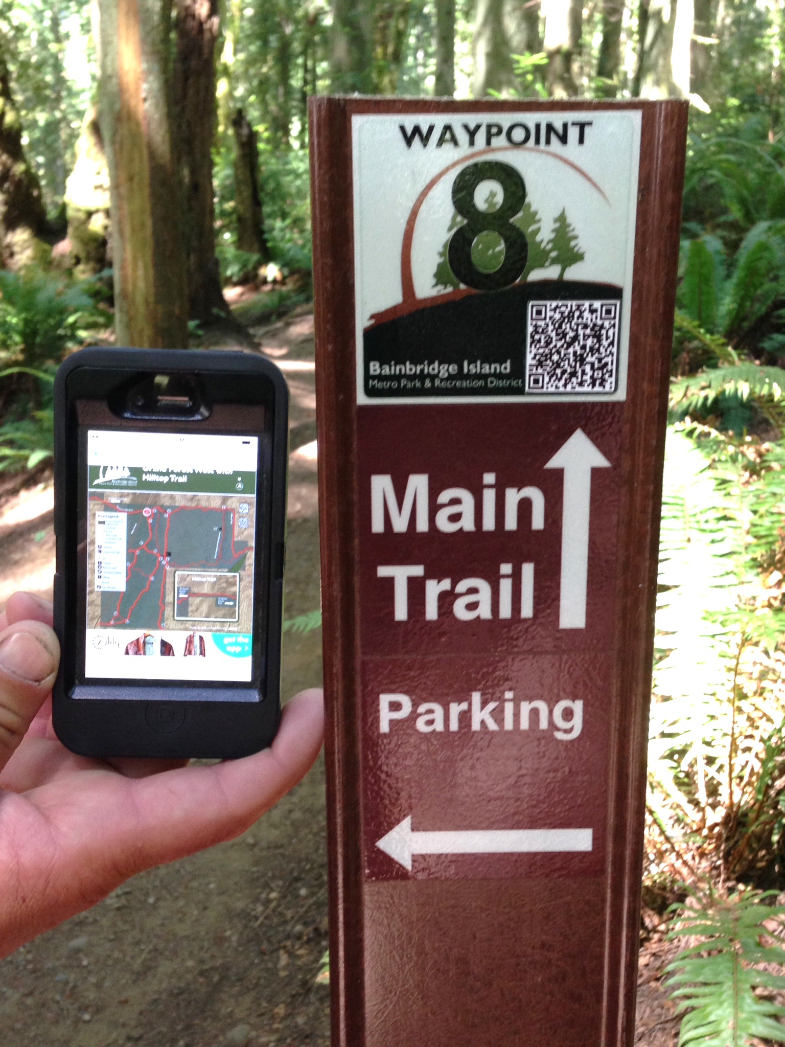 <i>Podcast: Bainbridge Outdoors:</i> <br>Walking the Grand Forest Trail to Hilltop