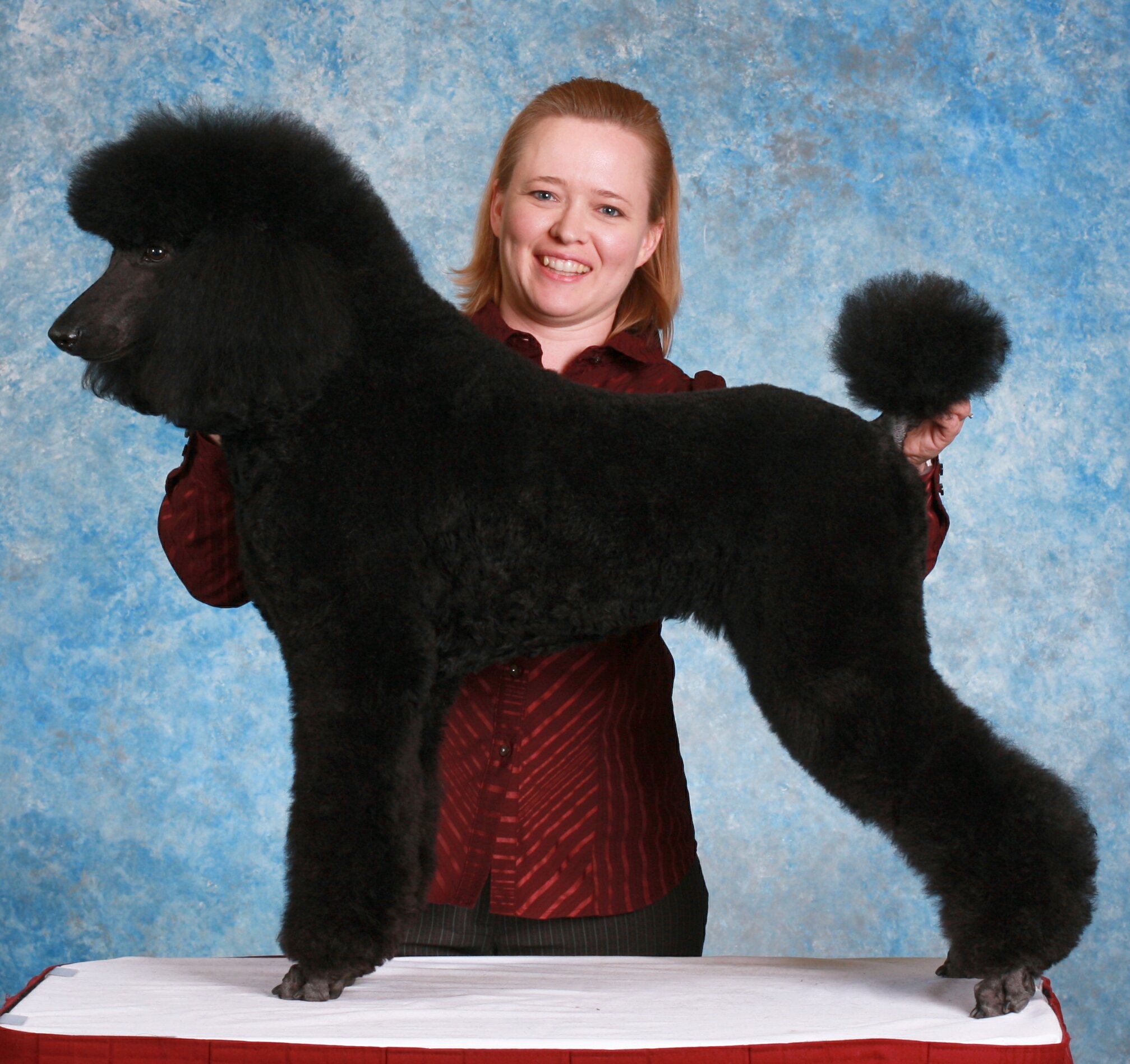 <i>Podcast: Who’s On Bainbridge:</i> <br>Meet Julie Rust – a master dog groomer