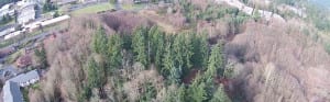 Click the image above to view a video by Anson Cheese with aerial vistas of the Sakai property now owned by the community.