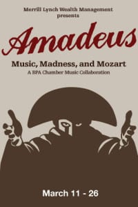 web-preview-amadeus2_large