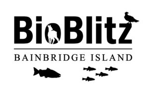 BioBlitz_Simplified_2016