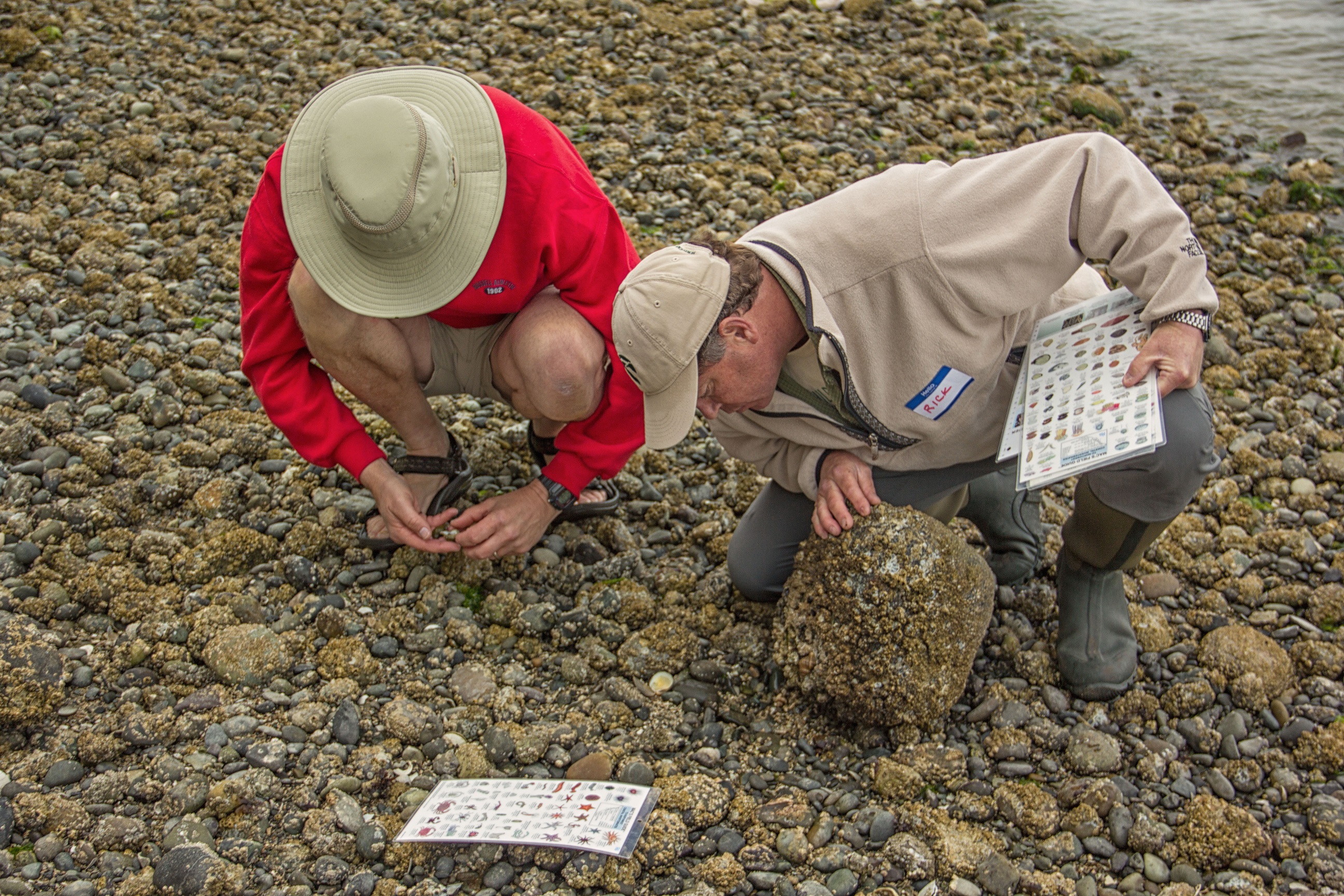 <i>Podcast: What’s Up Bainbridge: </i><br>BioBlitz 2016 happens May 14th — Volunteer now!