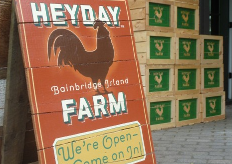 <i>Podcast: Tastes of Bainbridge:</i> <br>Uniquely Bainbridge: Founders are also hands-on innovators at Heyday Farm