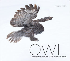 Paul Bannick's coffee-table sized book is full of large remarkable color photos