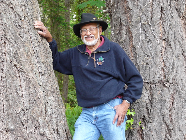 <i>Podcast: What’s Up Bainbridge: </i><br>BI Arborist Olaf Ribeiro on pesticide-free tree health: April 4 at the Treehouse