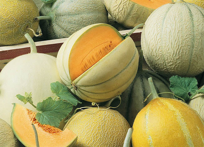 <i>Podcast: Tastes of Bainbridge: </i>Joe Pulicicchio on summer produce and melons