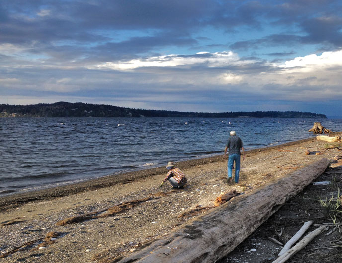 <i>Podcast: What’s Up Bainbridge:</i><br> Bainbridge Island Beach Cleanup Saturday, September 9