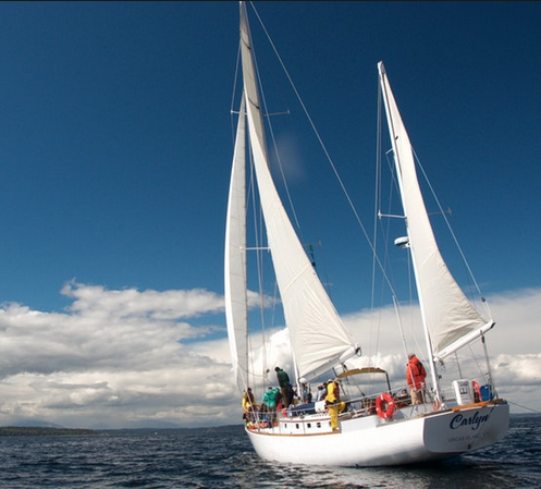 <i>Podcast: What’s Up Bainbridge: </i><br>Sail in the 61-foot Carlyn this Saturday with Salish Sea Expeditions