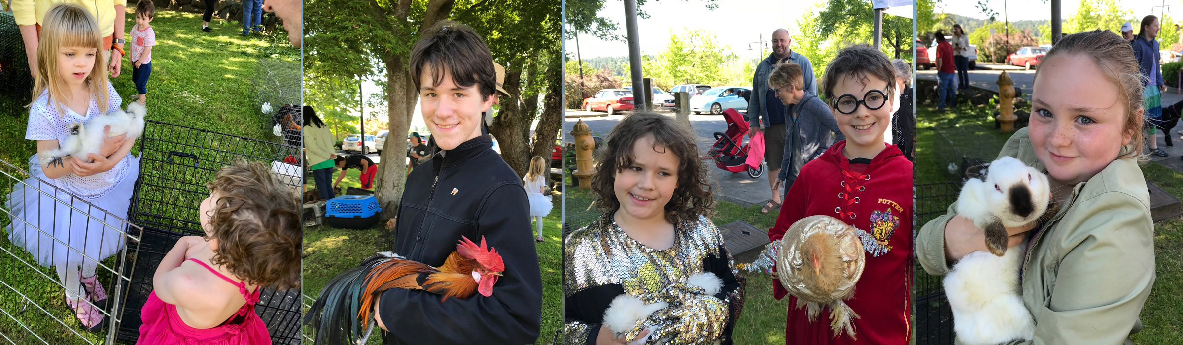 <i>Podcast: Tastes of Bainbridge: </i><br>4H Chicken Pageant at the Farmers Market