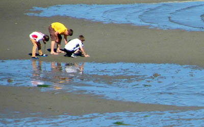 <b>Join the Bainbridge Beach Cleanup Sunday, September 9</b>