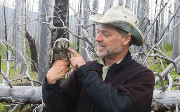 <b>Paul Bannick’s owl photographs open at the Library November 2</b>