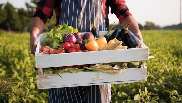 Food and Water Resiliency for Bainbridge Island